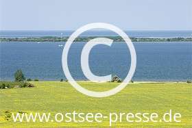 Ostsee Pressebild: Raps und Meer
